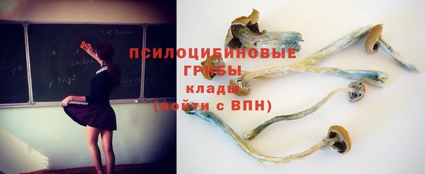 амф Богородицк