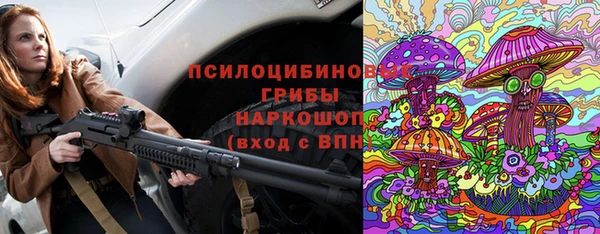 крисы Богородск