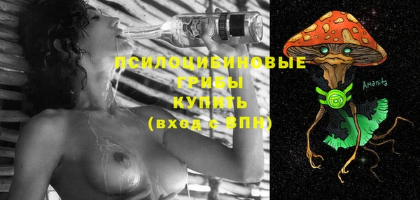 крисы Богородск
