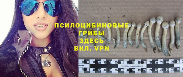 MESCALINE Богданович