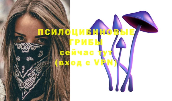 амф Богородицк