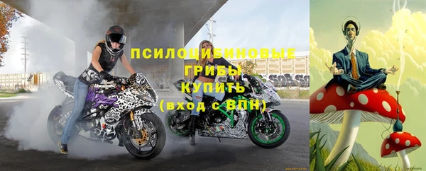 крисы Богородск